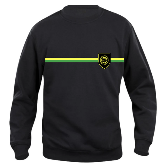 Green & Gold Pride Sweatshirt