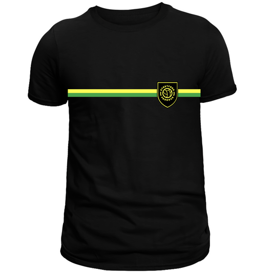 Green & Gold Pride Pride T Shirt