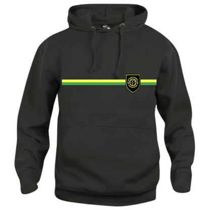 Green & Gold Pride Hoodie
